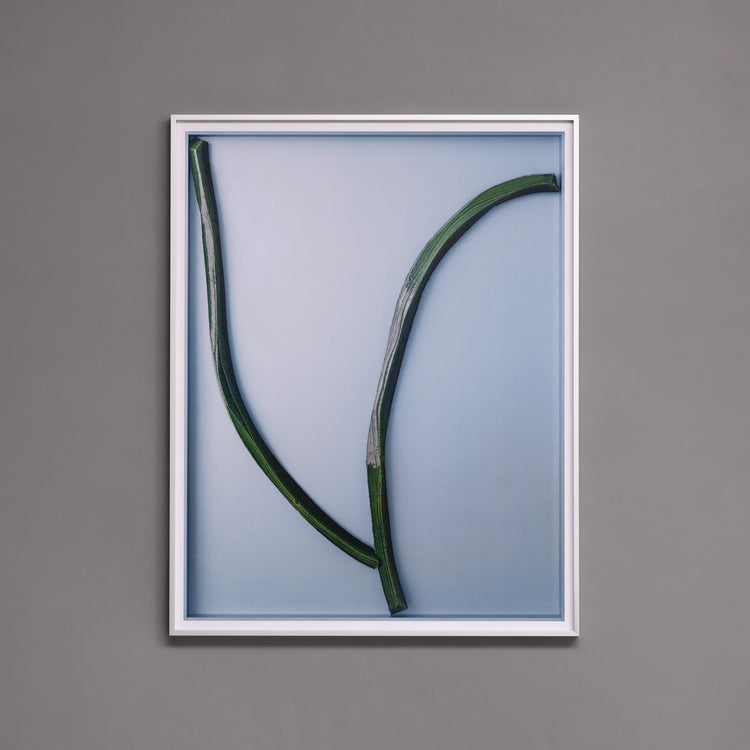 Poster + Silver Aluminium Self-Fit Frame